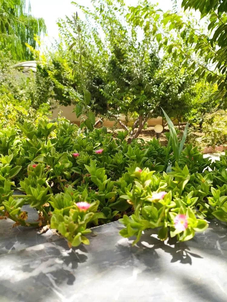 باغچه سهیلیه بهکامناز در چار باغ - البرز