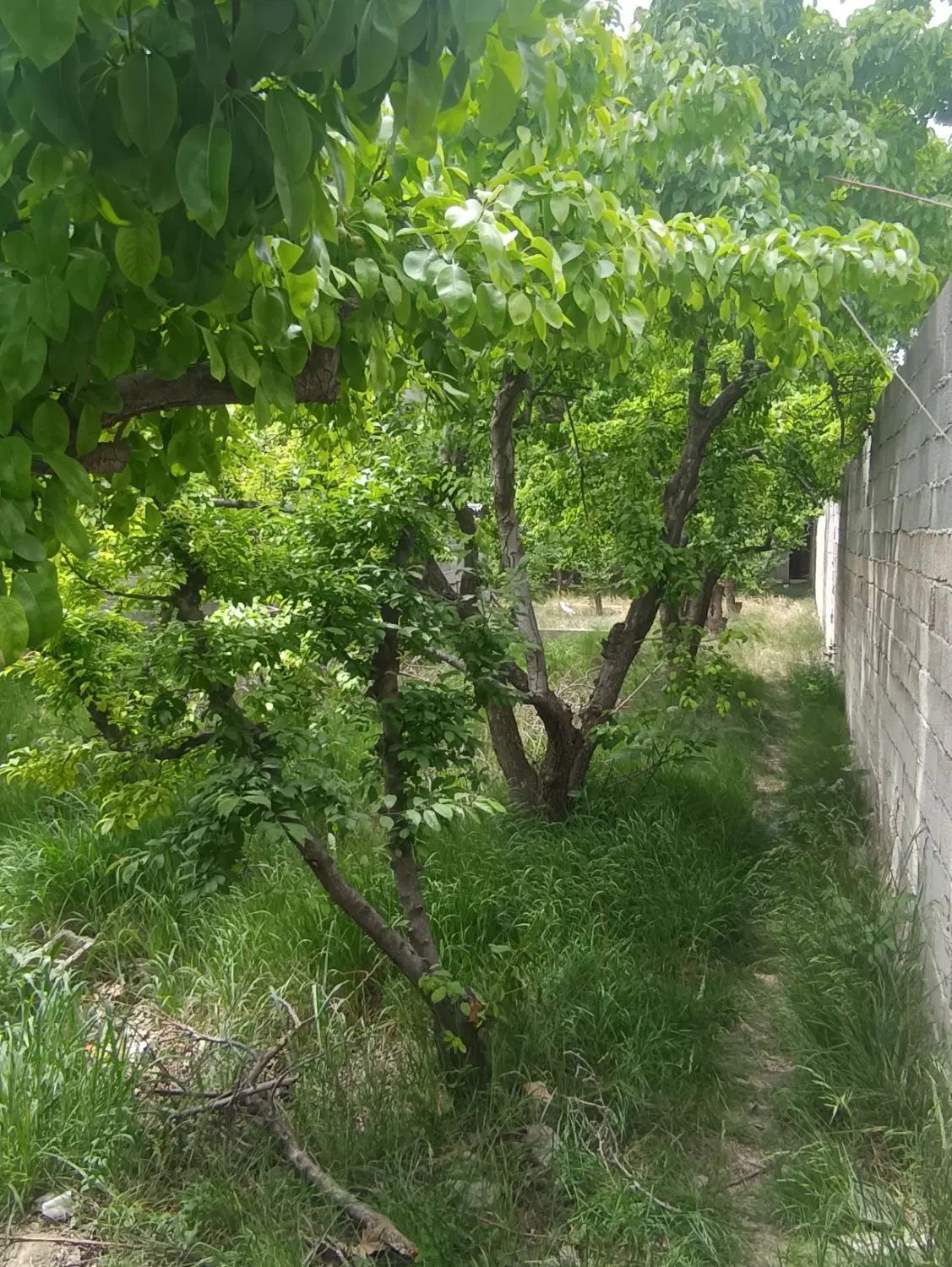 گروه مشاورین املاک زیما