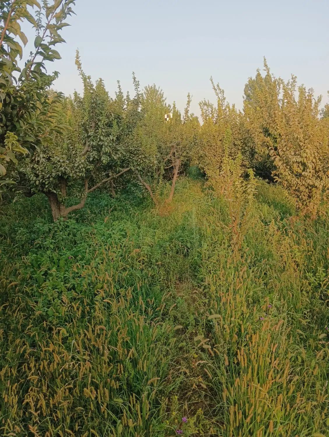 گروه مشاورین املاک زیما