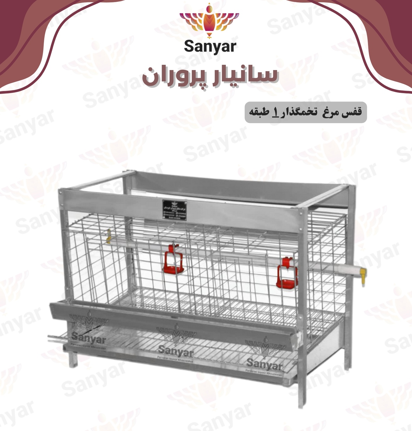 قفس یک طبقه مرغ تخمگذار