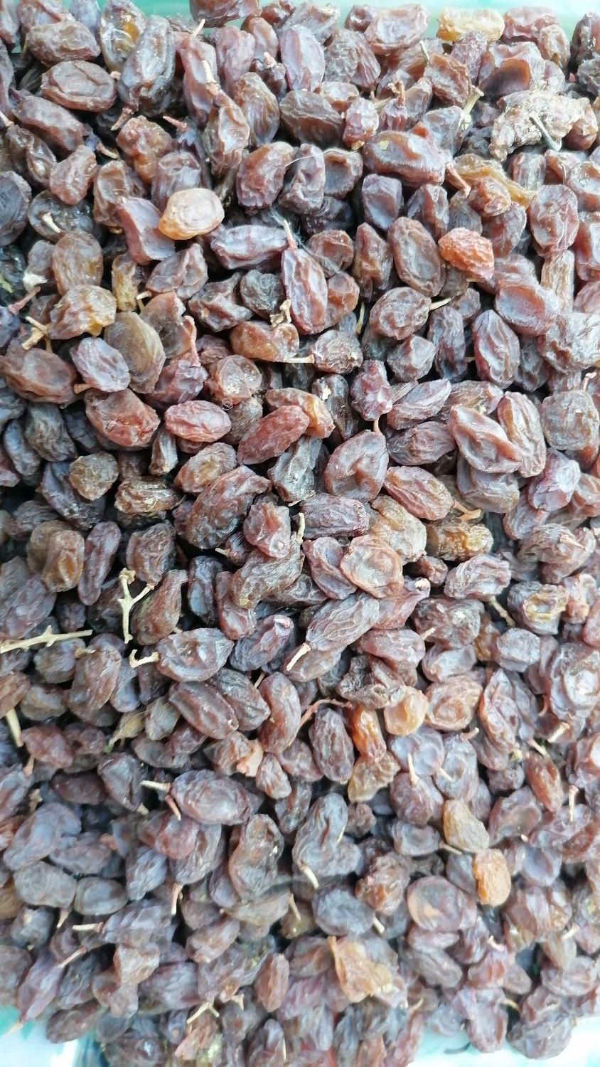مویز و کشمش آفتاب خشک (آفتابی) بوانات