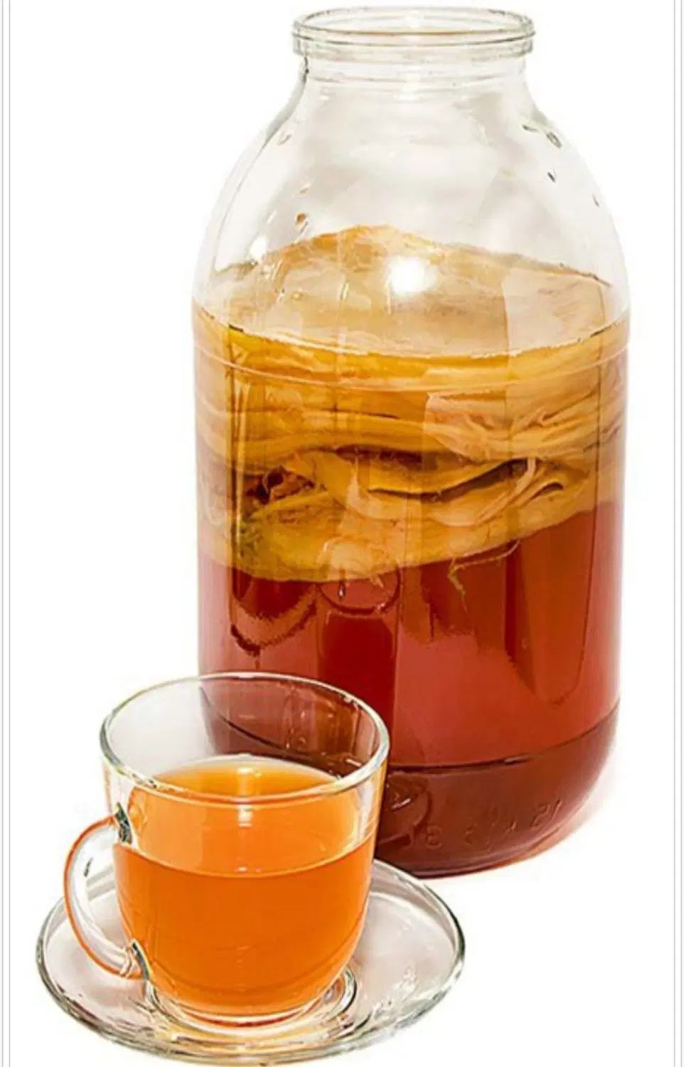 پروبیوتیک