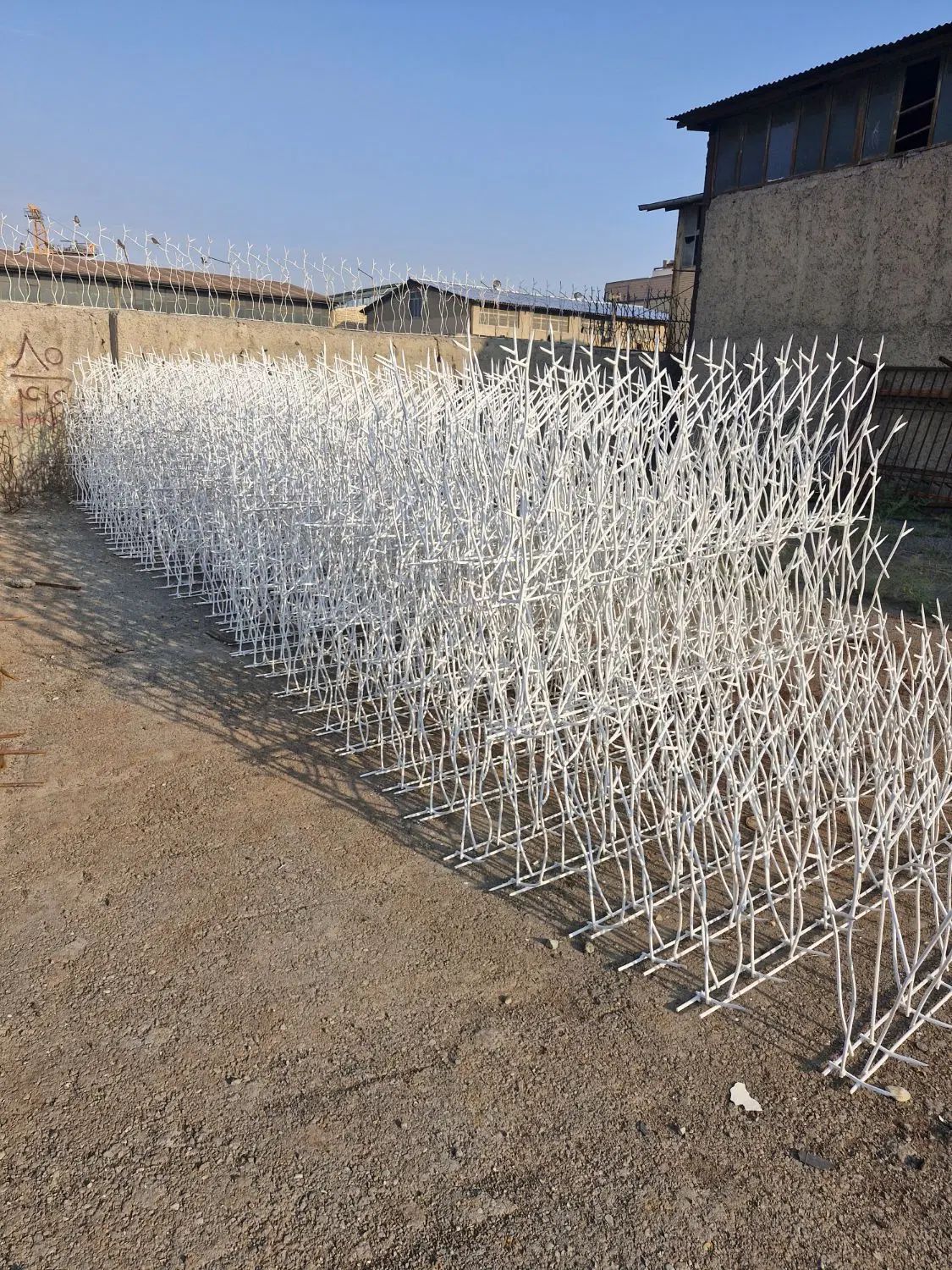 حفاظ شاخ گوزنی کیلویی