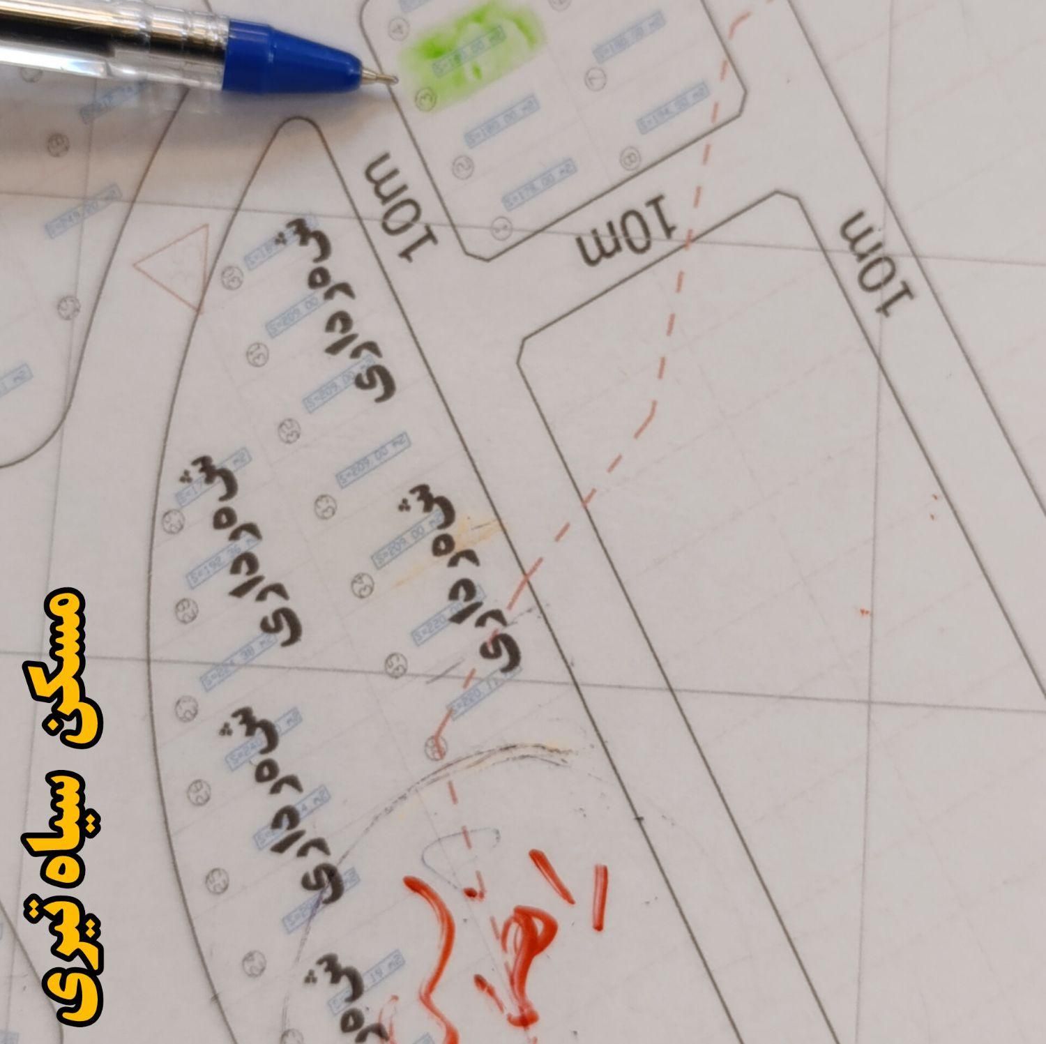 مسکن بزرگ سیاه تیری