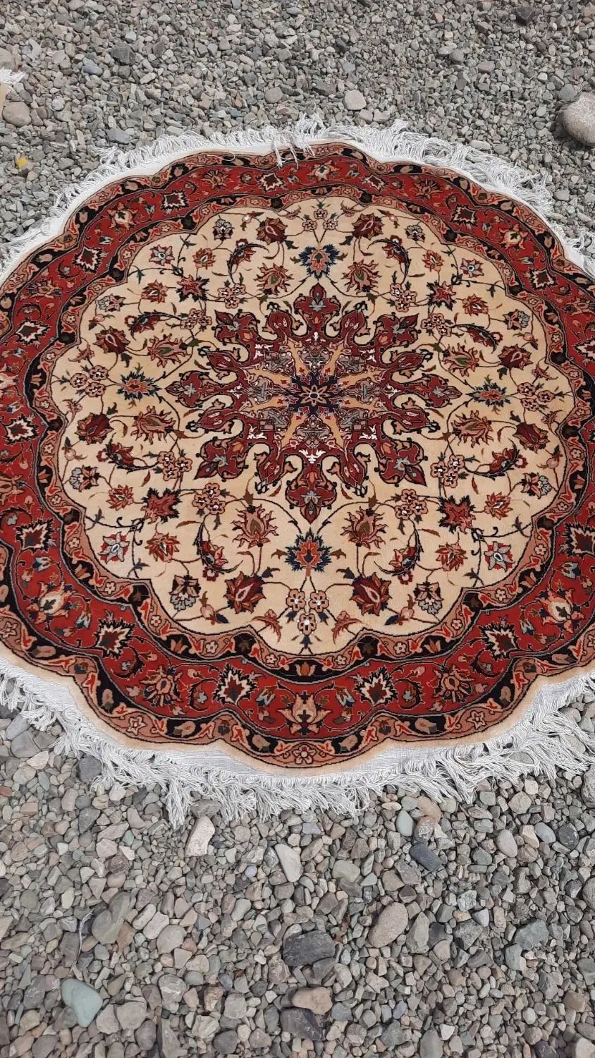 قالیشویی مرتضی گرد 55103500