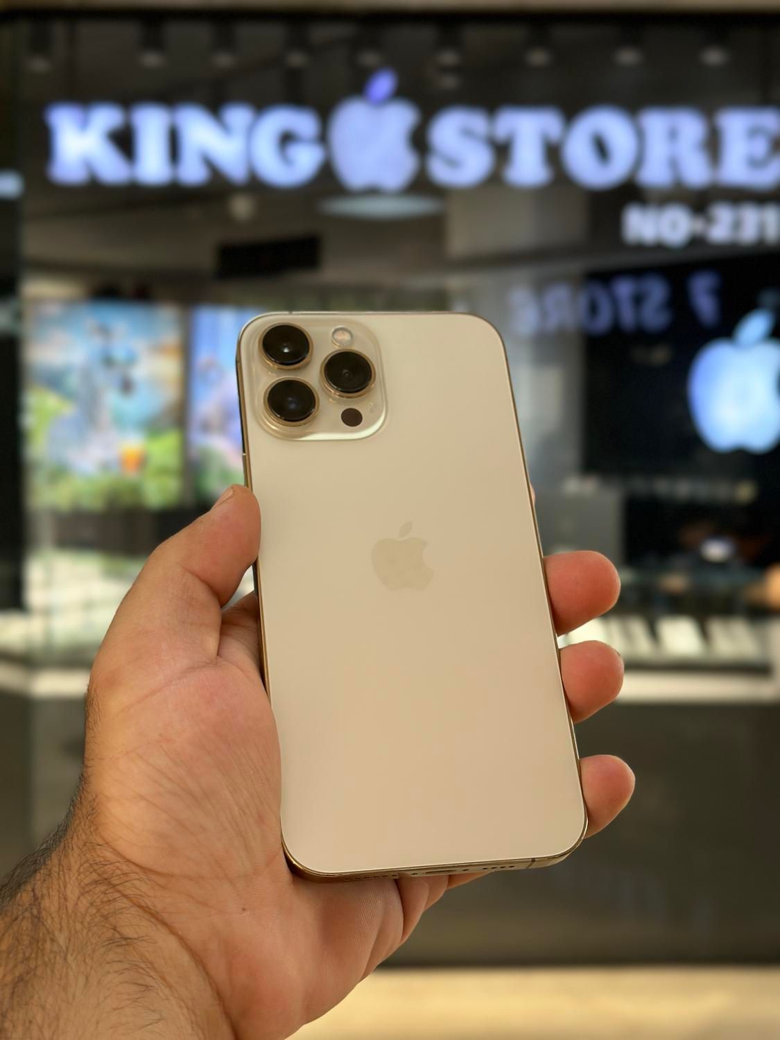 iPhone 13 Pro Max 256