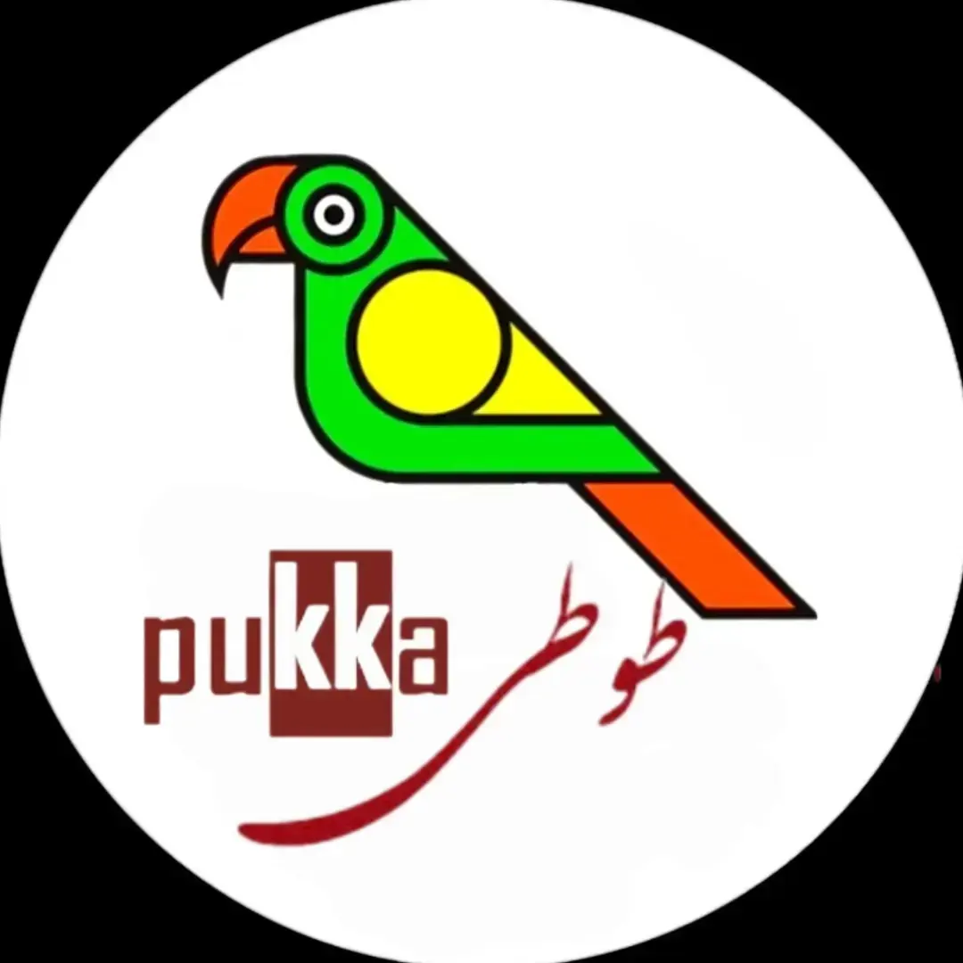 قفس سازی پوکا پارروت