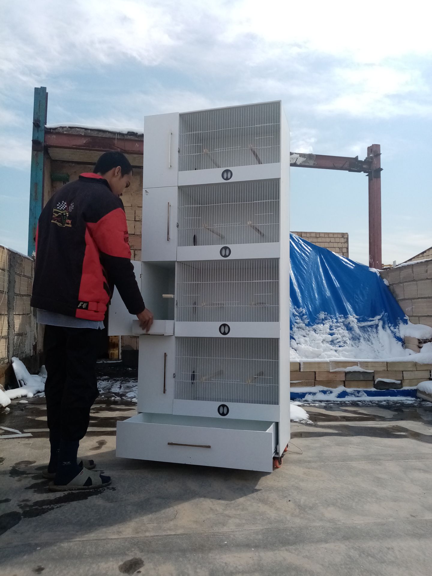 لوازم جانبی حیوانات