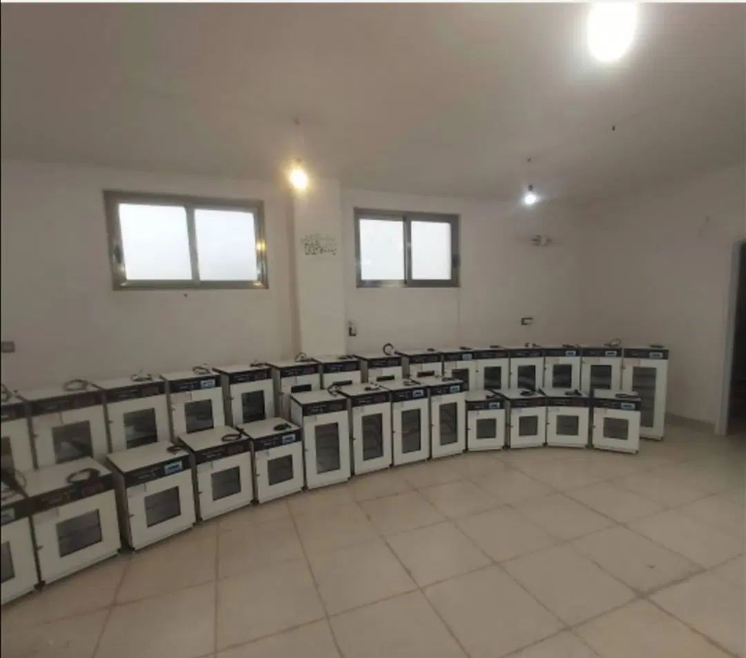 دستگاه جوجه کشی هدایت
