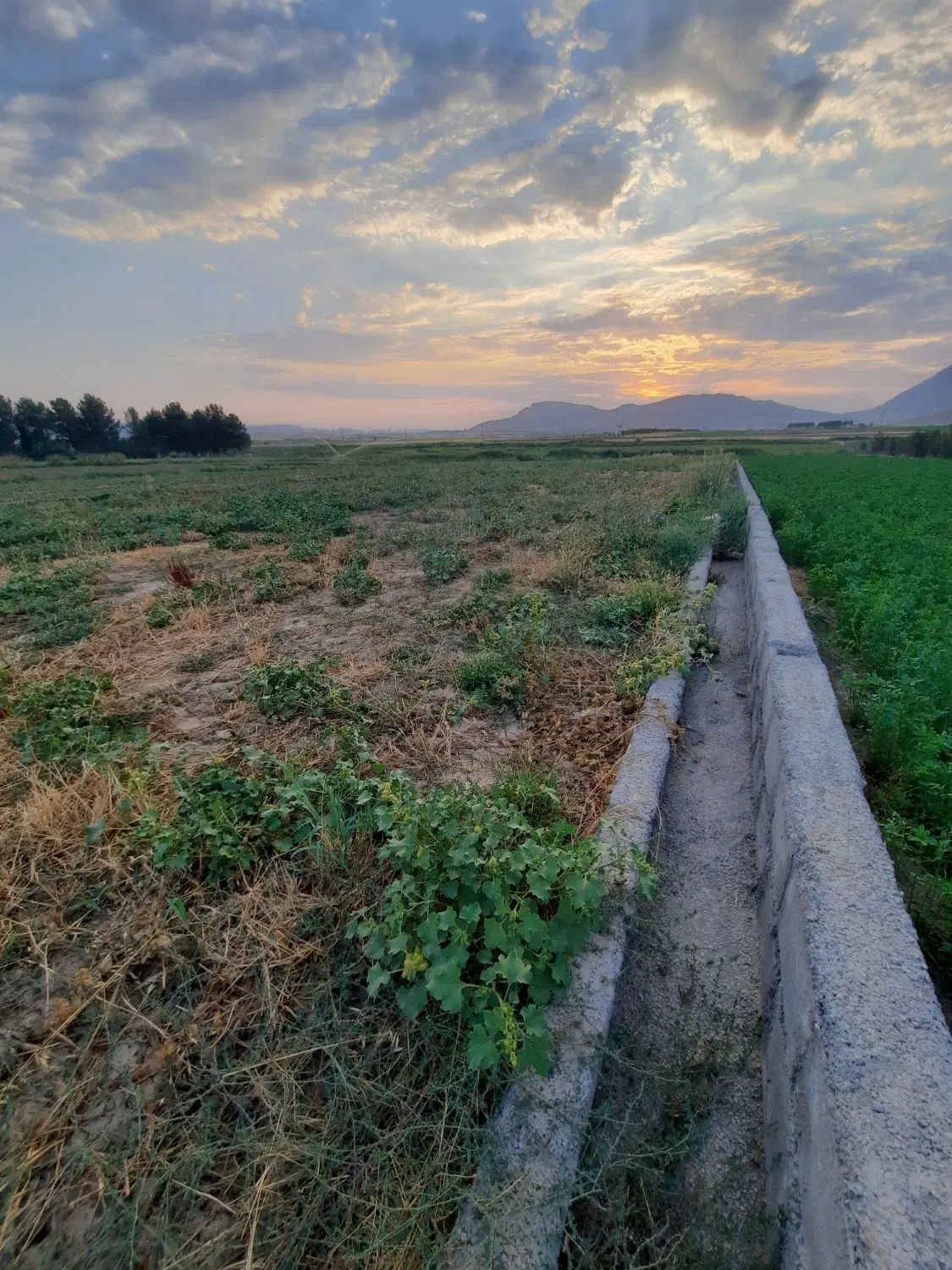 زمین آماده برای باغ وویلا