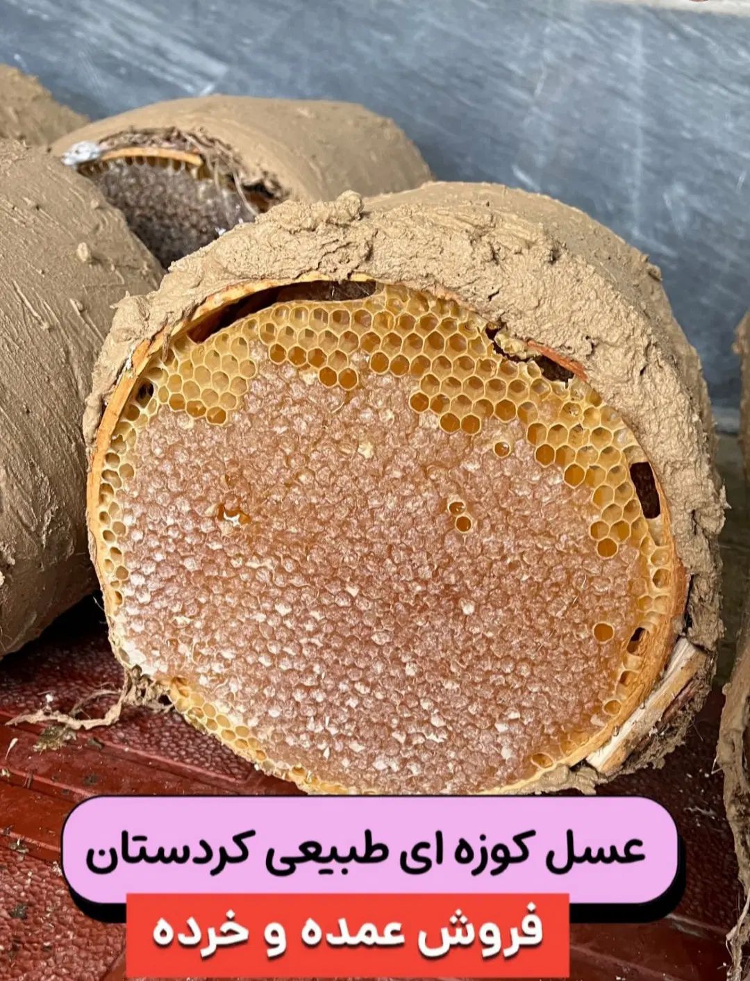عسل طبیعی توحید کردستان در مریوان