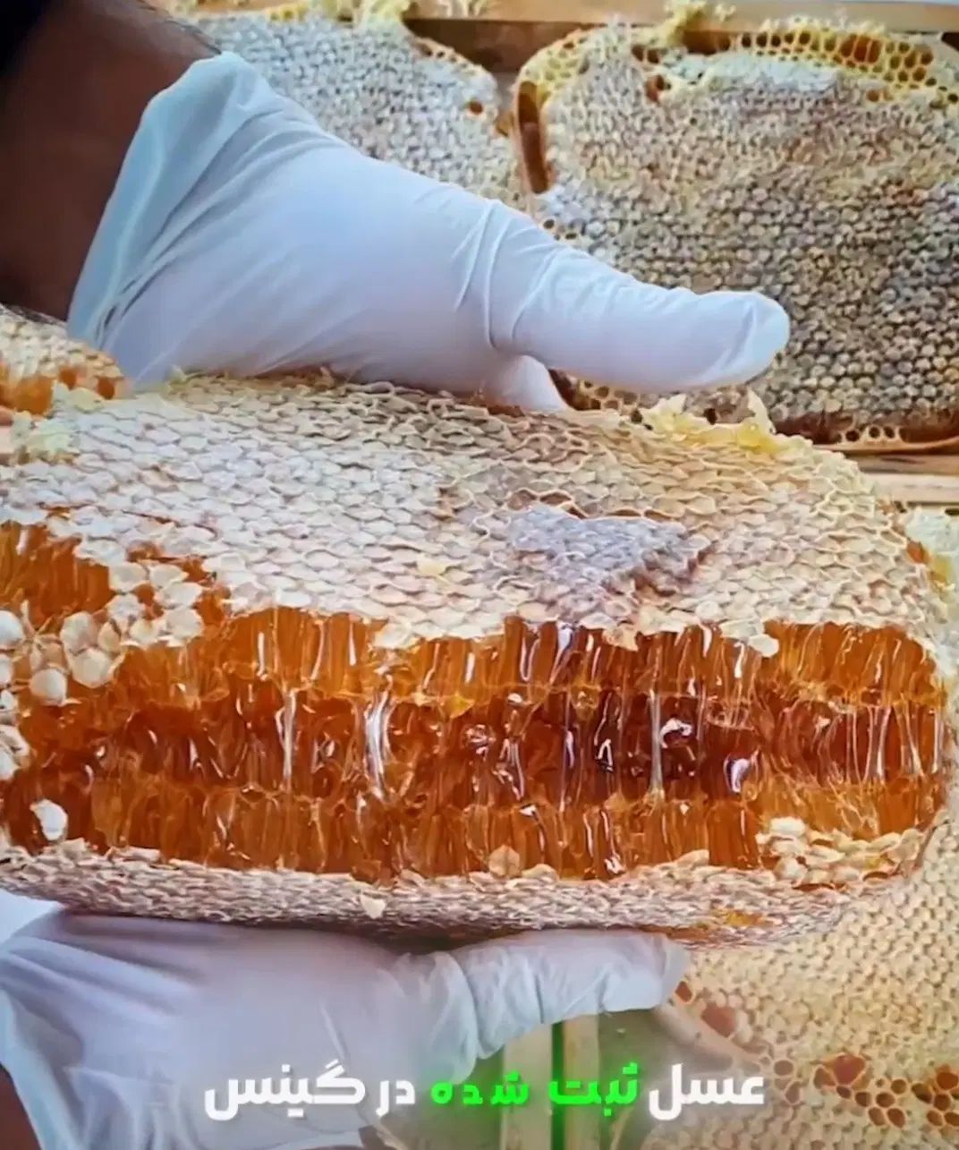 عسل طبیعی توحید کردستان در مریوان